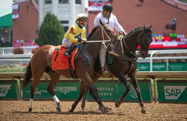Grade 1 winner Alva Starr euthanized after injury during workout