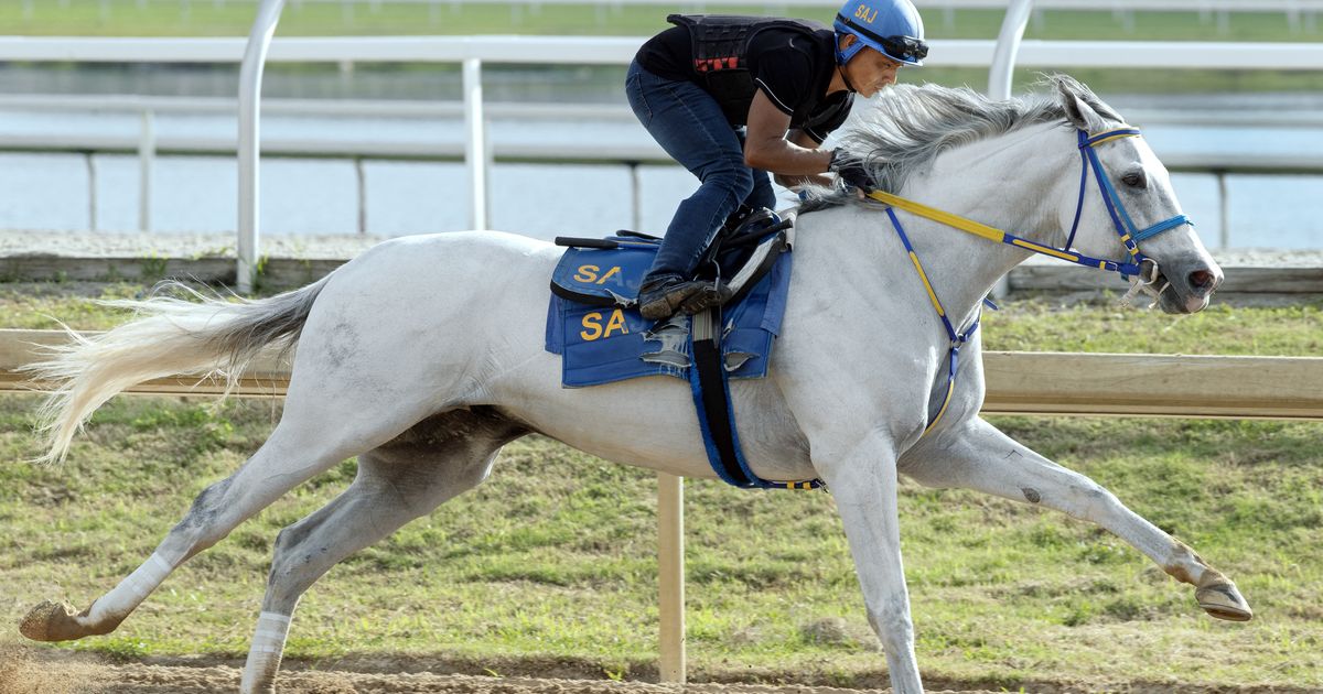White Abarrio retired, will stand at Gainesway Farm