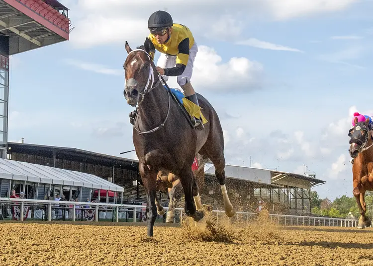 Jaxon Traveler.Star de Naskra Stakes.8-21-2021