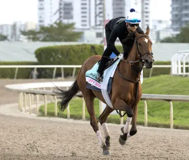 Weekend GamePlan: Picks for Pegasus World Cup Filly and Mare Turf, William L. McKnight, Fred W. Hooper