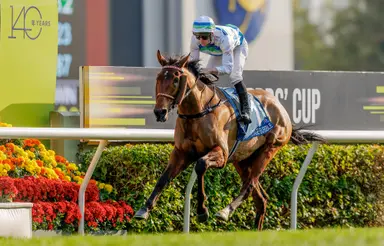 Ricky Yiu confident with Voyage Bubble ahead of G1 Citi Hong Kong Gold Cup