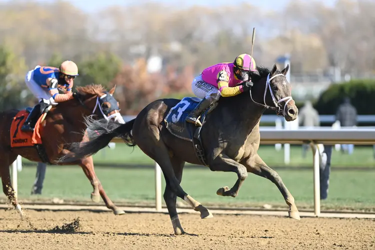 Classic Catch wins maiden at Aqueduct Nov 20 2022