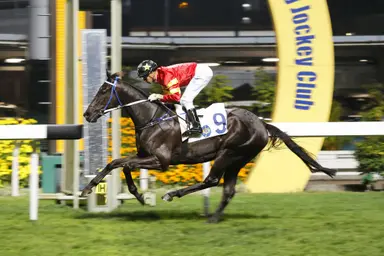 Luke Middlebrook’s Hong Kong selections for Feb. 11, 2026