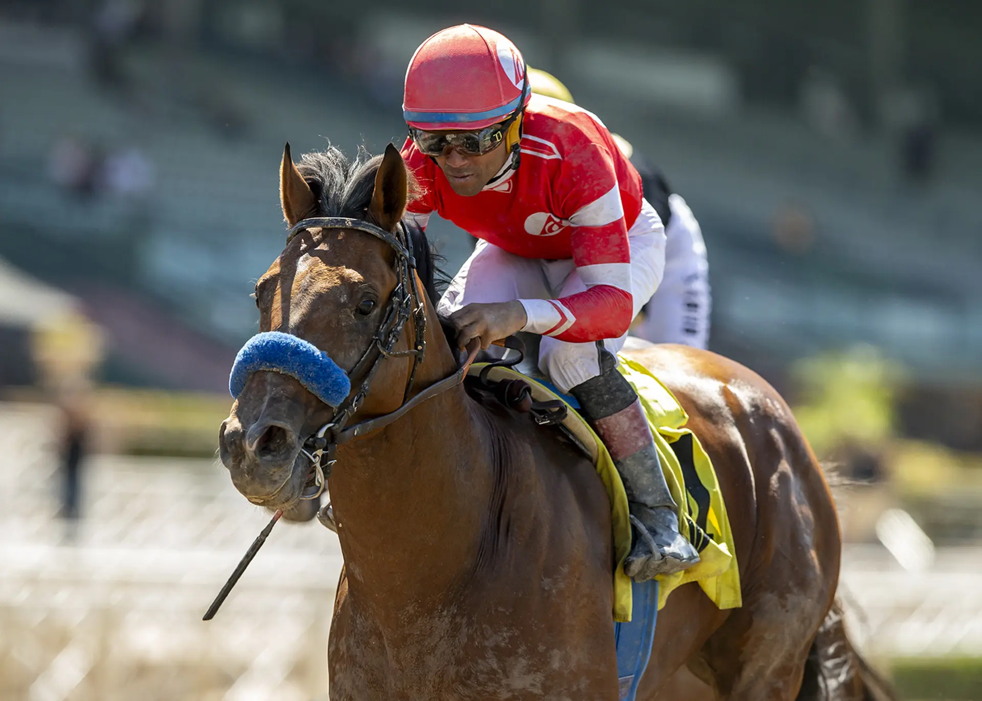 Secured Freedom gets first stakes win in the Affirmed