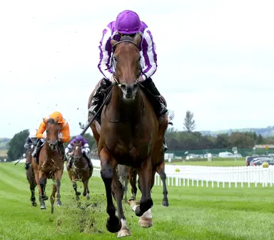 Breeders' Cup Juvenile Fillies Turf: Sun Goddess looms large in Euro-dominated field