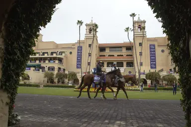 Del Mar to host back-to-back Breeders’ Cups in 2024, 2025