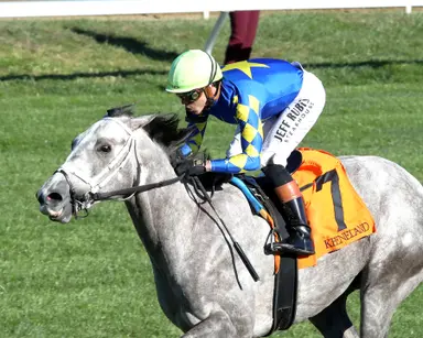 Kentucky Derby 2026: Synthetic stakes have been successful preps