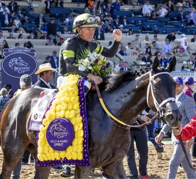Chatsworth Stud purchases Soul of an Angel for $2.6 million