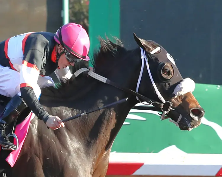 Chuckanut Bay wins Hank Mills Jr. overnight stakes at TUP Nov 10 2025