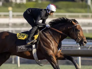 Korea Sprint, Korea Cup both Breeder's Cup Win and You're Ins