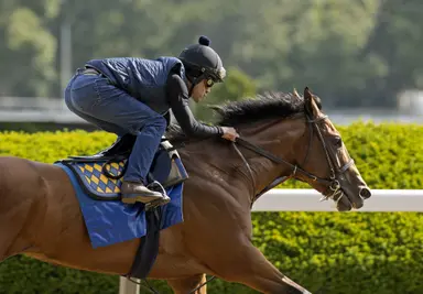 Belmont Stakes clocker report: A final summary from both Belmont and Churchill