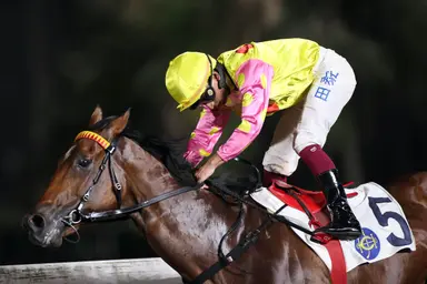 Declan Schuster's Hong Kong Selections and Analysis for Wednesday, May 29, 2024