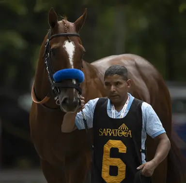 Arabian Lion, Taiba, Zandon to stand at Spendthrift Farm in 2024