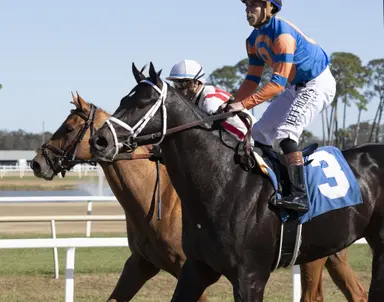 Pletcher seeks seventh Tampa Bay Derby win