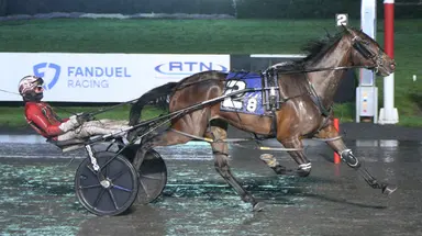 Meadowlands:  Bookie J blitzes foes in Home Grown