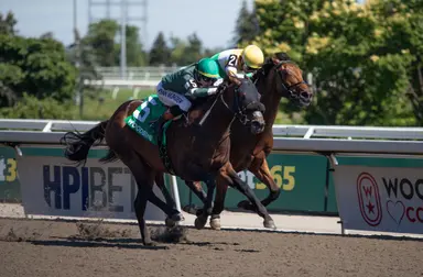 Brachetto ($38.60) springs big upset in Marine
