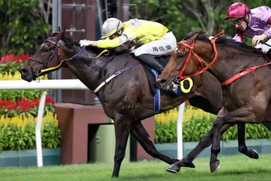 Super Joy N Fun chases back-to-back wins under lights