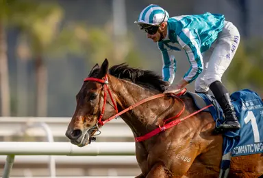 Romantic Warrior primed for G1 Citi Hong Kong Gold Cup as Triple Crown bid gathers momentum