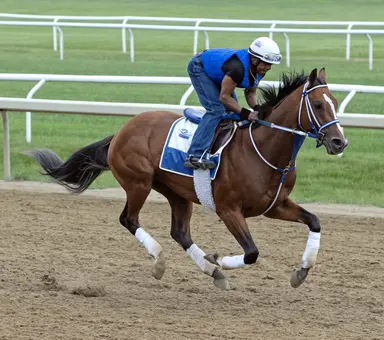 Belmont Stakes 2024: McPeek leaning toward running Mystik Dan