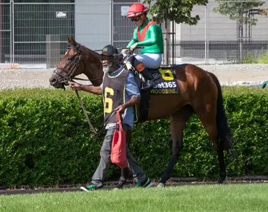 Casse holding strong hand with pair in Woodbine allowance