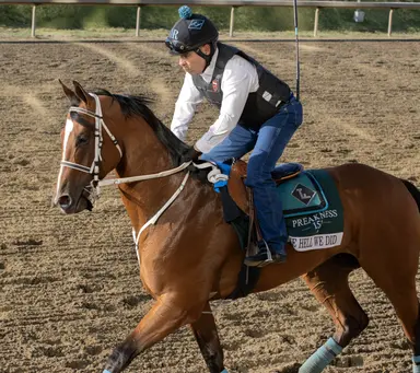 The Hell We Did set to work; Charlene's Dream named top Texas-bred of 2025