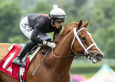 Weekend GamePlan: Picks for Bing Crosby, Ontario Colleen, Monmouth Oaks