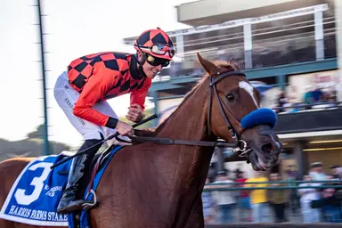 Brad Free's Santa Anita Horses to Watch for week of March 28, 2024