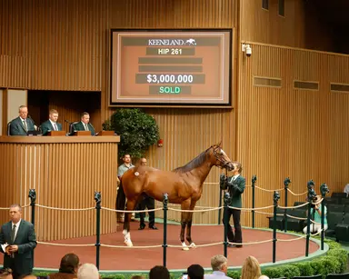 Keeneland September: Repole, buying, selling, reflecting on how he got here