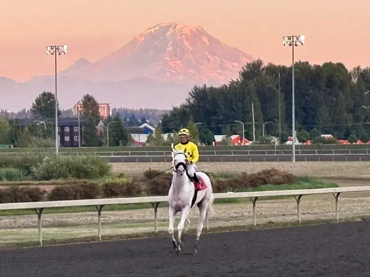 Emerald.Mt Rainier.White horse.2026