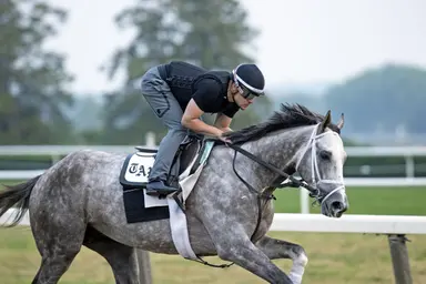 Tapit could set record with fifth Belmont Stakes winner