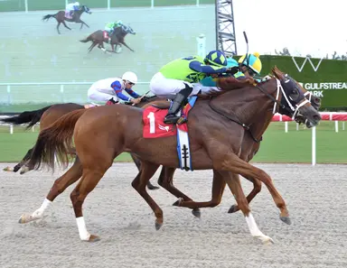 Joseph doubles up in statebred co-features