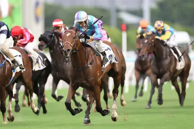 Bowman at the double as Fownes-Wong partnership flourishes