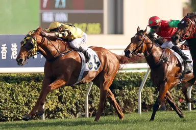 David Hall hopes Flying Ace can open 2024-25 Hong Kong season in style