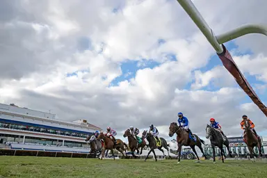 DRF's Horse Racing Playbook for Friday, December 15, 2023