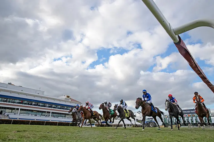 Gulfstream Park turf racing, 2021