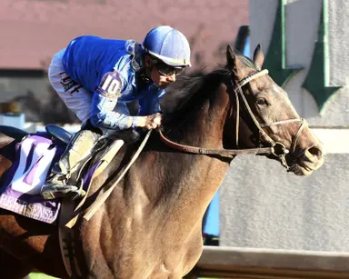 Kentucky Derby 2025: Sovereignty points to Fountain of Youth