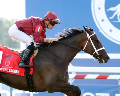 Bless the Broken wins Ladies Turf, finding first graded-stakes victory in turf debut