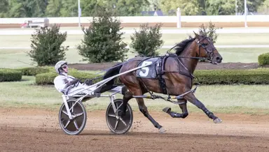Harness: Brian Sears returns to the bike after three-year absence