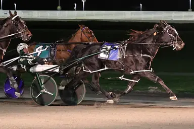 Yonkers:  Three horses repeat in MGM Borgata Pacing Series