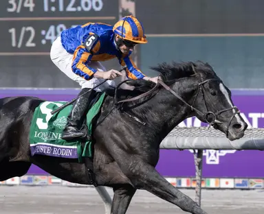Auguste Rodin takes on crack 3-year-olds in Irish Champion