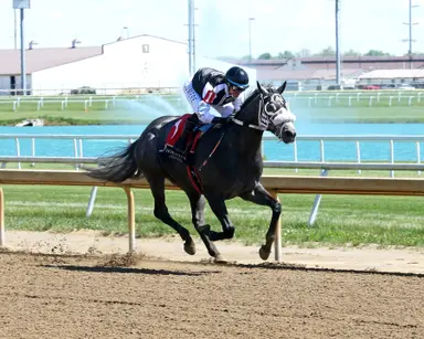 Jr Shadow Boy brings big Beyers to Sagamore Sired Handicap
