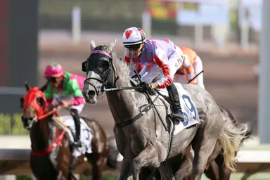 In-form Mark Newnham hopes timing is right for Talents Ambition