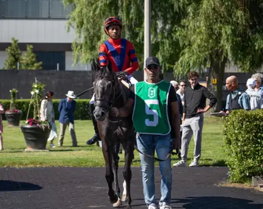 Classic Move brings solid credentials into Woodbine allowance