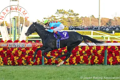 Japan: Equinox towers over rivals Takarazuka Kinen