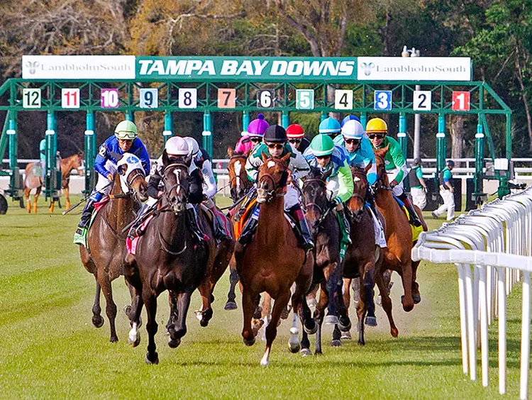 Tampa Bay Downs, March 2020