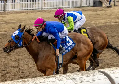 Bella Ballerina on her toes for Fair Grounds Oaks
