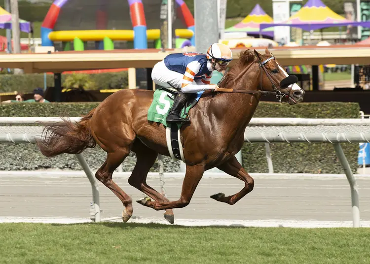 Conclude wins maiden race at SA March 4 2023