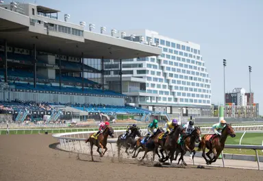 Woodbine cancels final two races on card over safety concerns
