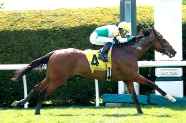 King's Plate hopefuls test waters in Marine Stakes