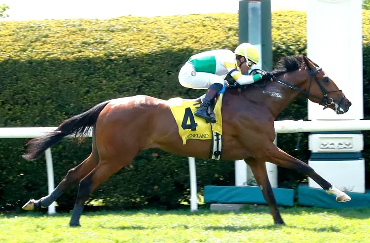 Magical Factor wins at KEE April 11 2026
